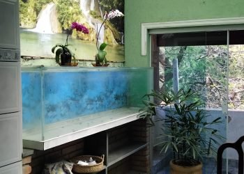 IMG-20250908-WA0026-1