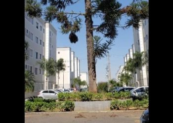 WhatsApp-Image-2026-04-13-at-16.34.00-2